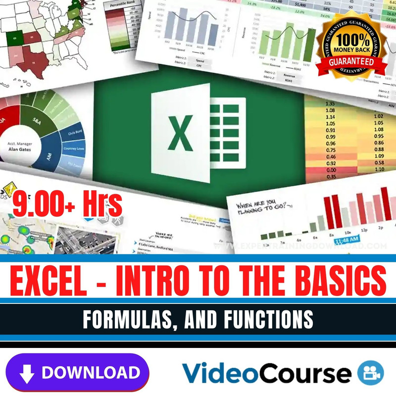 Excel - Intro to the Basics, Formulas, and Functions - Expert Training