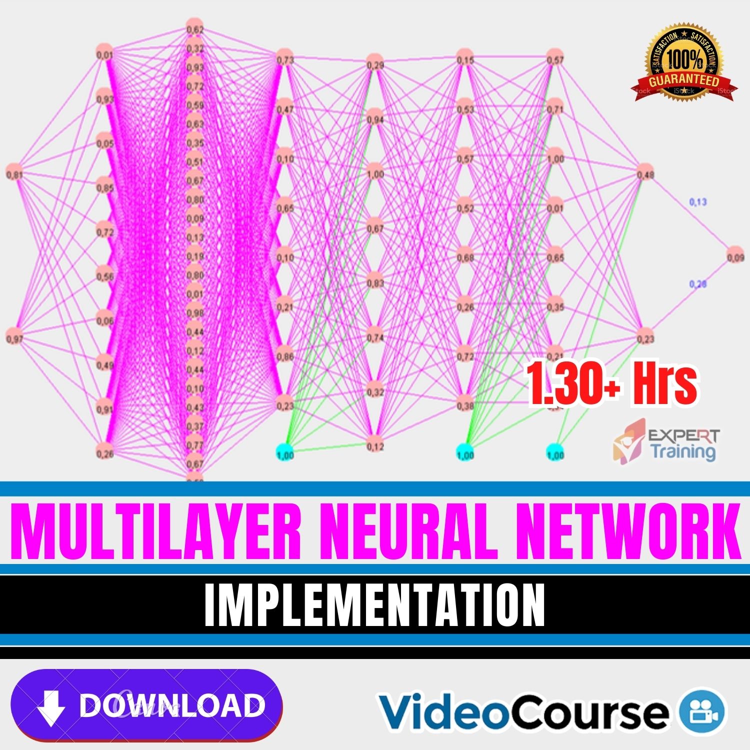 Multilayer Neural Network Implementation - Expert Training