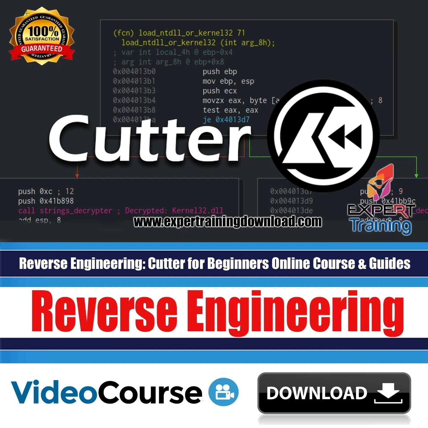 Reverse Engineering Cutter for Beginners Course Expert Training