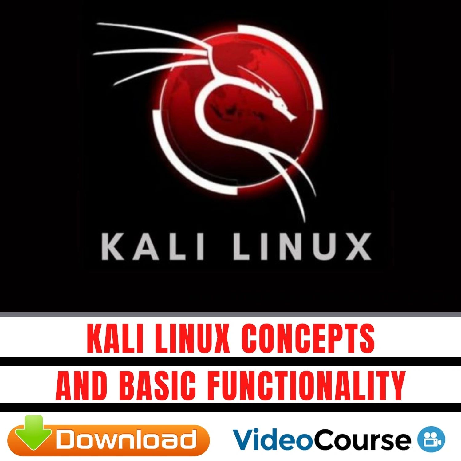 Kali Linux Concepts and Basic Functionality
