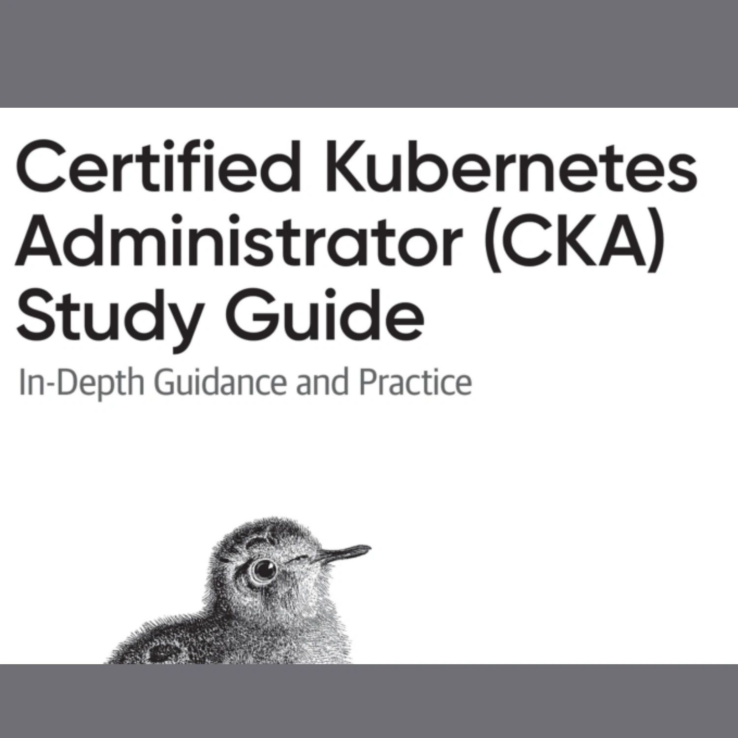 Certified Kubernetes Administrator (CKA) Study Guide