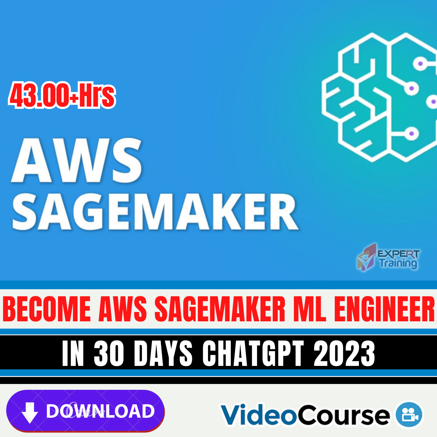 Become AWS SageMaker ML Engineer in 30 Days ChatGPT 2023