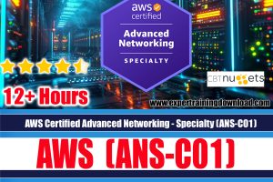 AWS Certified Advanced Networking - Specialty (ANS-C01) Course