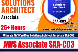 Ultimate AWS Solutions Architect