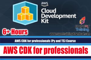 AWS CDK for professionals (Py and TS) Course