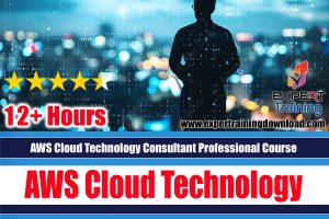 AWS Cloud Technology Consultant Professional