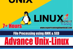 Learn Advanced Unix/Linux File Processing using AWK & SED