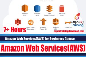 Amazon Web Services(AWS) for Beginners Course