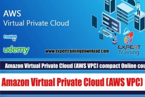 Amazon Virtual Private Cloud (AWS VPC) compact Online course