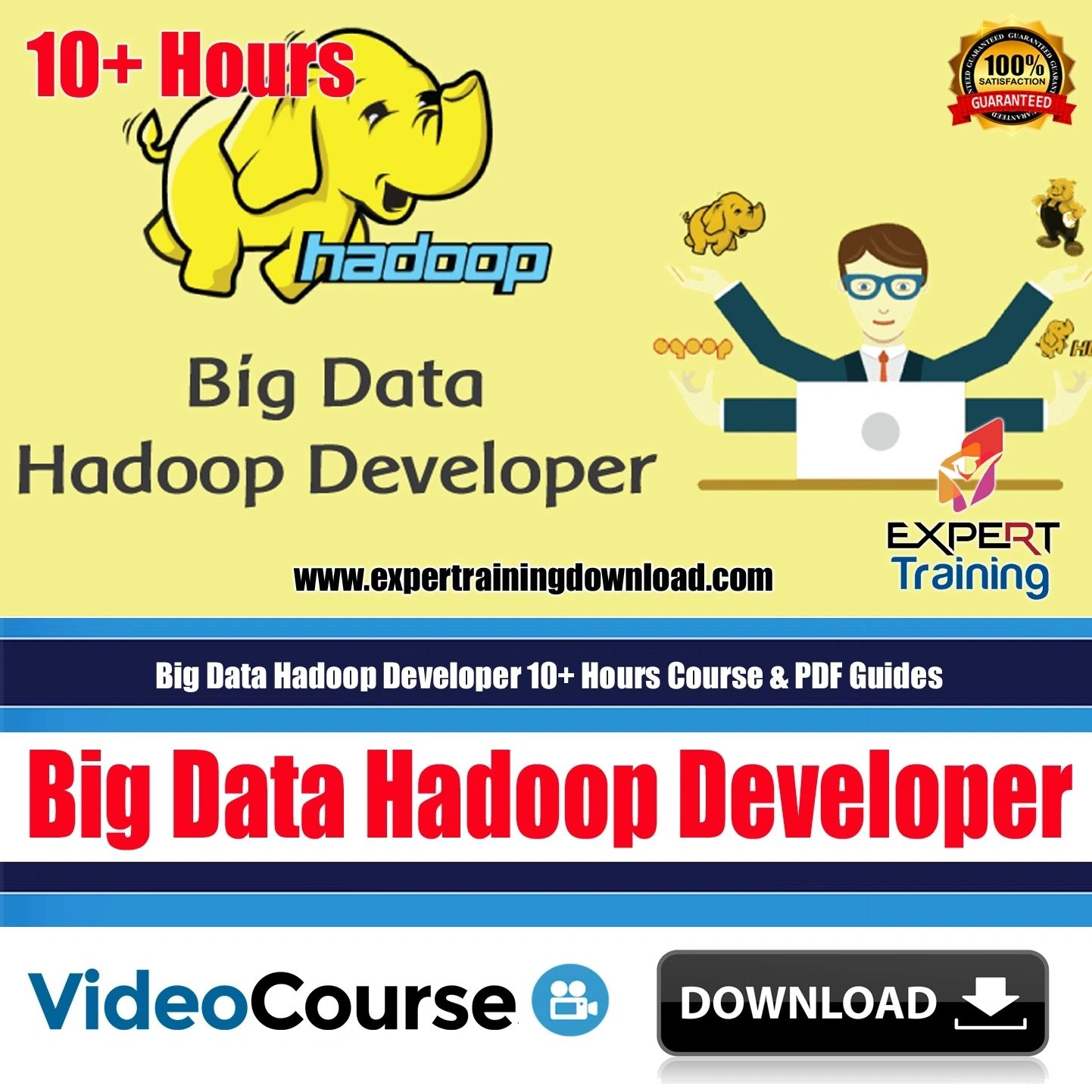 Big Data Hadoop Developer 10 Hours Course amp PDF Guides Expert Training