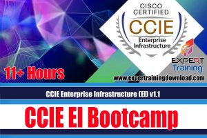 CCIE Enterprise Infrastructure (EI) v1.1