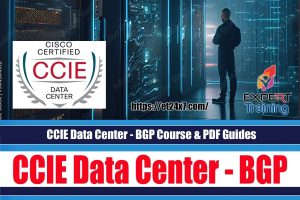 CCIE Data Center - BGP Course PDF Guides