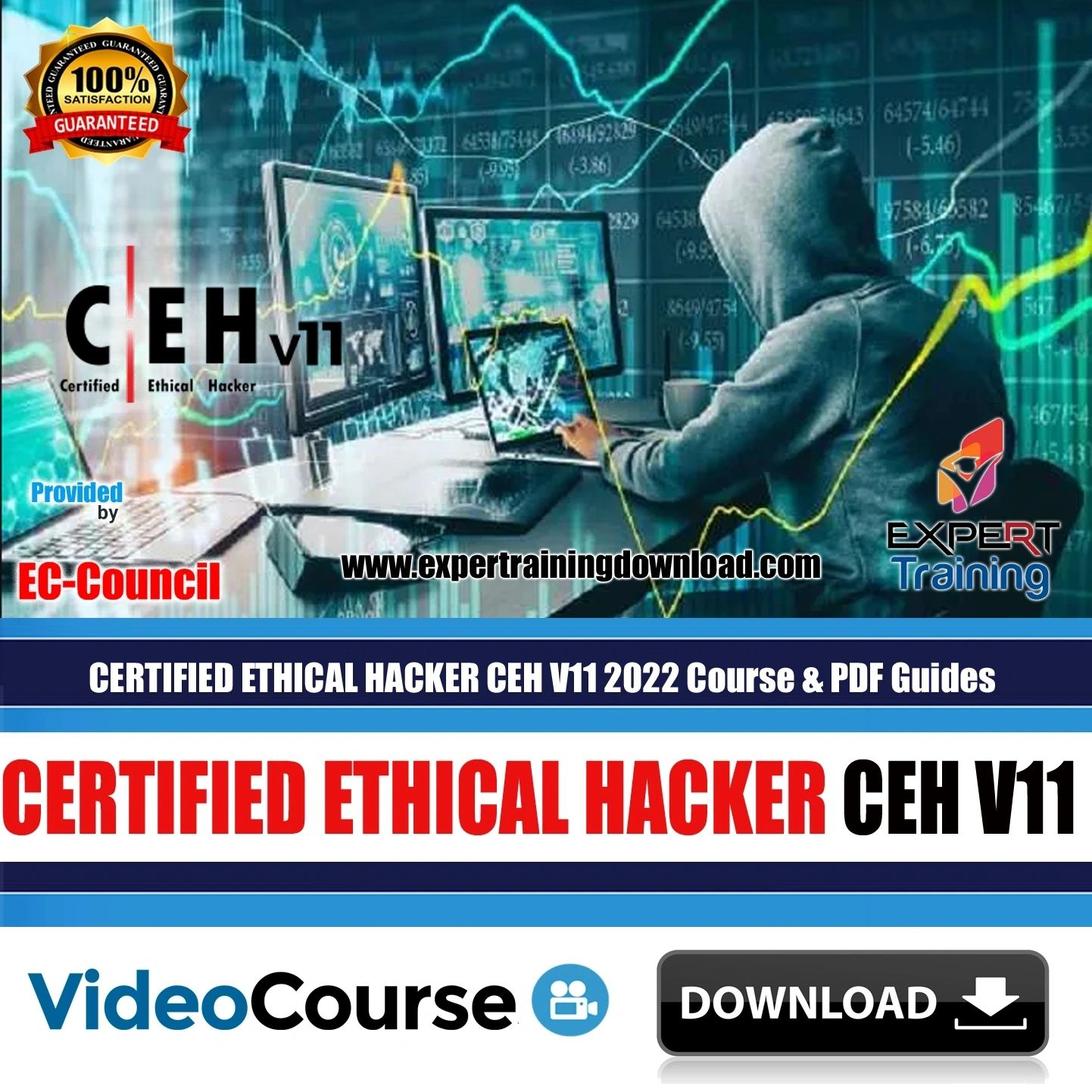 CERTIFIED ETHICAL HACKER CEH V11 2022 Course PDF Guides Expert Training