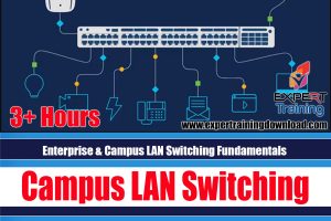 Enterprise & Campus LAN Switching Fundamentals