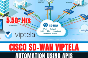 Cisco SD‑WAN Viptela Automation using APIs
