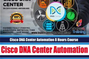 Cisco DNA Center Automation 8 Hours Course