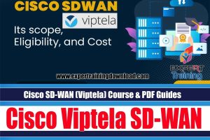 Cisco SD-WAN (Viptela) Course & PDF Guides