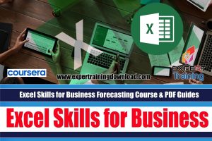 Excel Skills for Business Forecasting Course