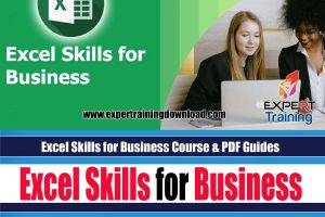 Excel Skills for Business Course & PDF Guides