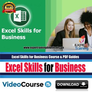 Excel Skills for Business Course