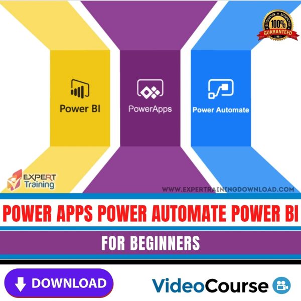 Power Apps Power Automate Power BI for beginners