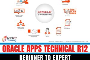 Oracle Apps Technical R12 Training Beginner to Expert