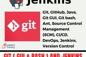 Git ( gui & bash ) and Jenkins