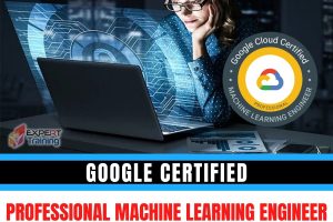 Google Certified Professional Machine Learning Engineer
