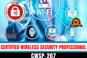 Certified Wireless Security Professional (CWSP‑207)