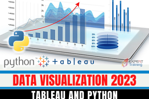 2023 Data Visualization In Tableau and Python