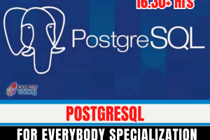 PostgreSQL for Everybody Specialization