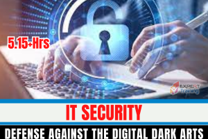 IT Security Defense against the digital dark arts