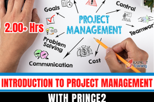 Introduction To Project Management With Prince2