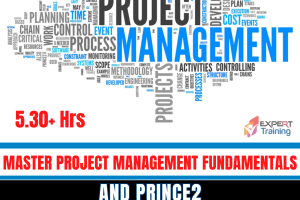 Master Project Management Fundamentals And Prince2