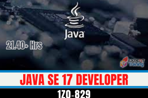  Java SE 17 Developer (1Z0‑829)