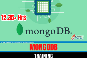 MongoDB Certification Training (beginner to expert)
