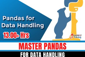 Master Pandas for Data Handling