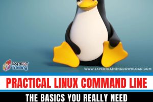 Practical Linux Command Line The Basics You Really Need