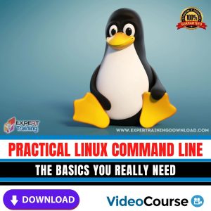 Practical Linux Command Line The Basics You Really Need