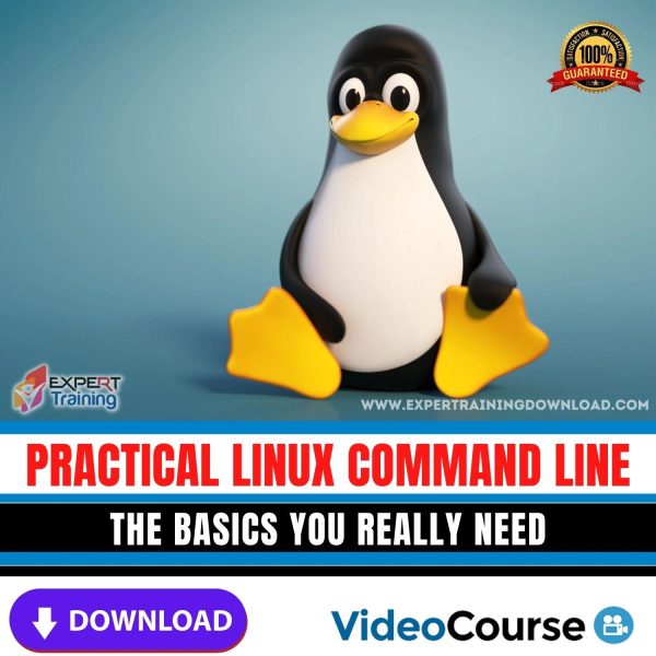 Practical Linux Command Line The Basics You Really Need
