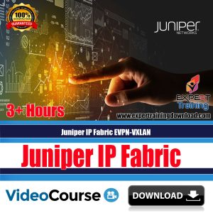 Juniper IP Fabric EVPN-VXLAN