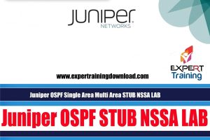 Juniper OSPF Single Area Multi Area STUB NSSA LAB Course