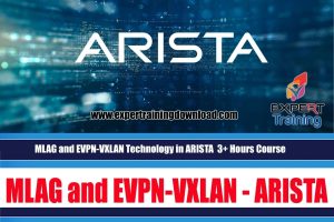 MLAG and EVPN-VXLAN Technology in ARISTA 3+ Hours Course - FREE DOWNLOAD