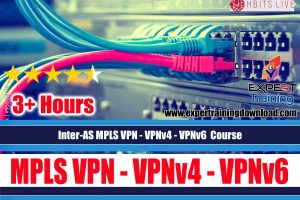 Configuring Inter-AS MPLS VPNs  VPNv4 - VPNv6  Course