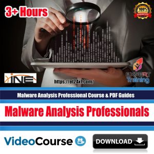 Malware Analysis Professional Course