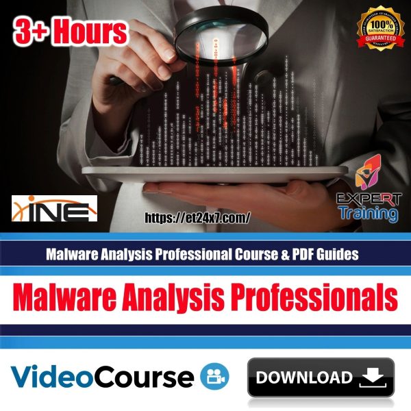 Malware Analysis Professional Course