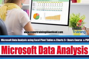 Microsoft Data Analysis using Excel Pivot Tables & Charts 5+ Hours Course
