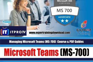 Microsoft Teams (MS-700) Management Course