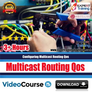 Configuring Multicast Routing Qos