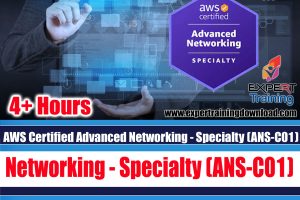 AWS Certified Advanced Networking - Specialty (ANS-C01)